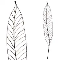 Tuteurs décoratifs en acier peint - Feuille de charme L.28 x H.180cm - lot de 2