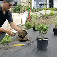 Toile paillage géotextile Bidim