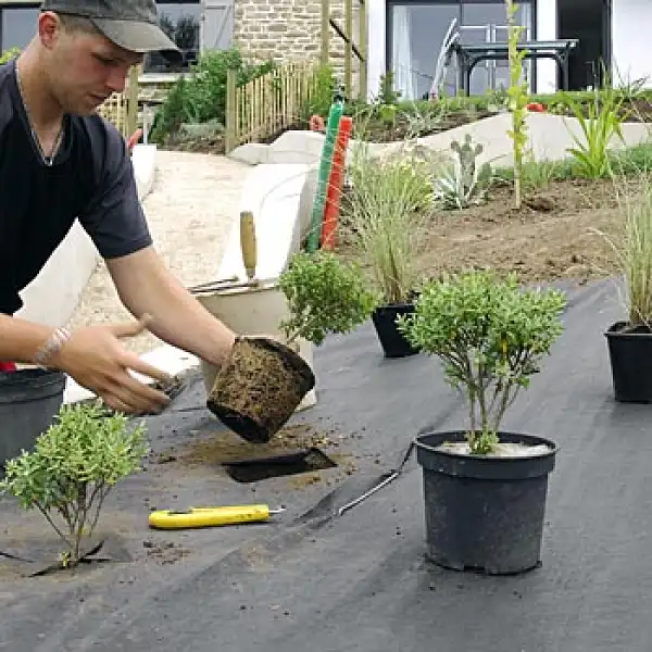 feutre anti mauvaise herbe