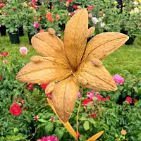 Tuteur Fleur deco en fer brut tige 8mm