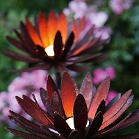 Fleur de chrysanthème en métal rouillé