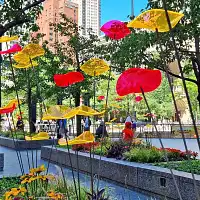 Fleur de soleil Lucy D. 15cm - Jaune  Fleur de soleil Lucy D. 15cm - Jaune