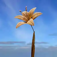 Tuteur fleur Lys pistil en fer brut 28cm