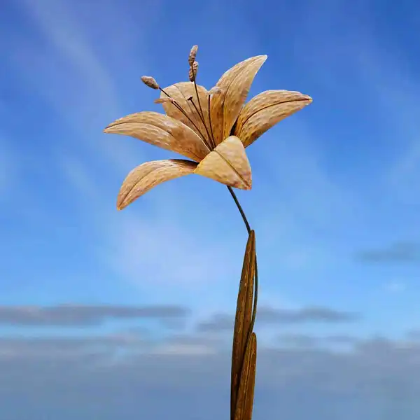 fleur lys deco jardin