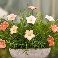Malva Sylvestris rose - Fleur en céramique sur tige à planter