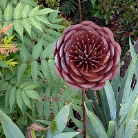 Tuteur fleur Renoncule en fer brut 18cm