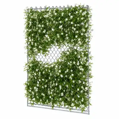Jasmin sur un panneau grillage pour arche Jasmin sur un panneau grillage pour arche