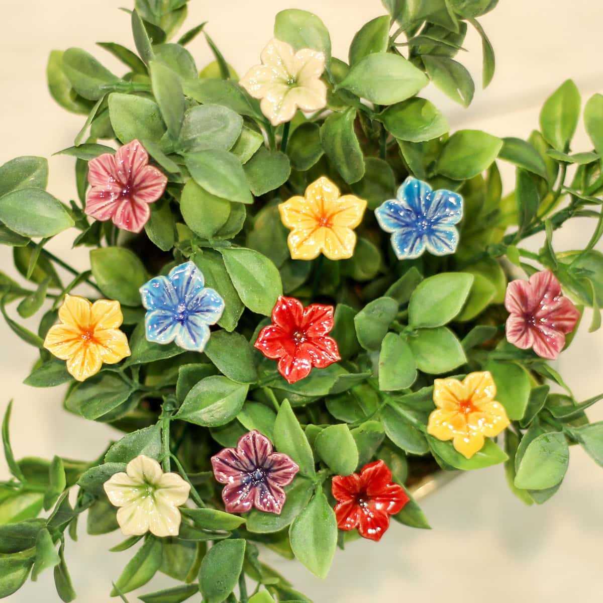 fleurs deco belle de nuit