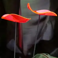 Fleurs de soleil Lucy - plexiglas