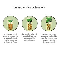 Plaque à semis Maxi Rootrainers - Système ingénieux anti chignon, 40 alvéoles profondeur 20cm