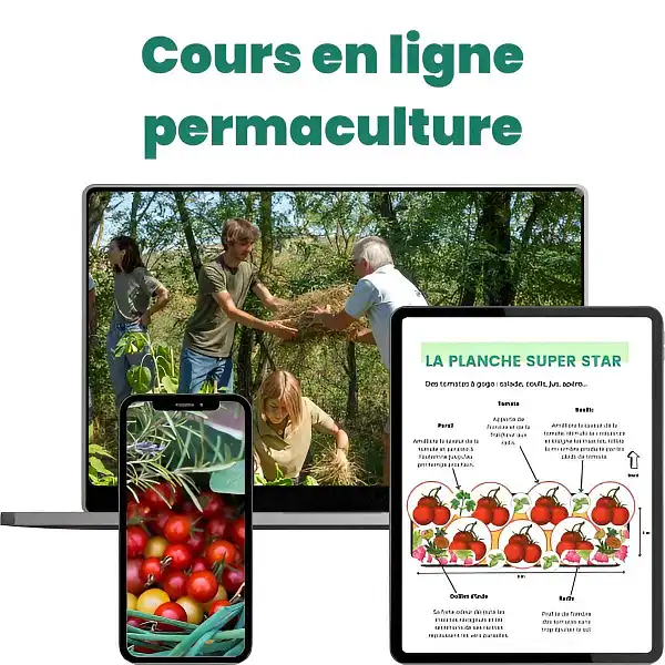 formation creation potager