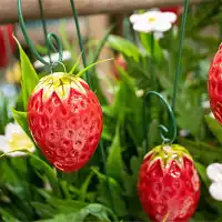 Fruit en céramique sur tige à planter - Fraise