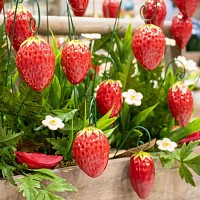 Fraise en céramique sur tige à planter - Déco jardin