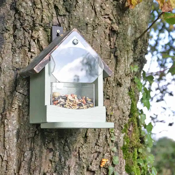 garde manger ecureuil arbre garde manger ecureuil arbre