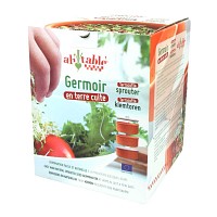 Germoir à graines en terre cuite - 21cm