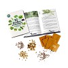 Coffret graines 12 herbes aromatiques