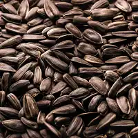 Graines de tournesol noir pour oiseaux 3kg