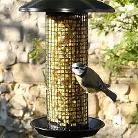 Pépites de graisse végétale pour oiseaux