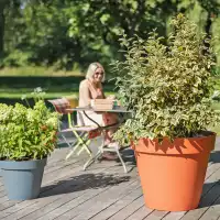 Grand pot de fleurs XXL en plastique