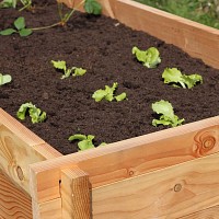 Grand carré potager en bois surélevé