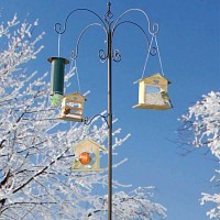 Multi station alimentation oiseaux
