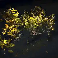 Guirlande lumineuse extérieur L. 20 m - 200 LED  Guirlande lumineuse extérieur L. 20 m - 200 LED