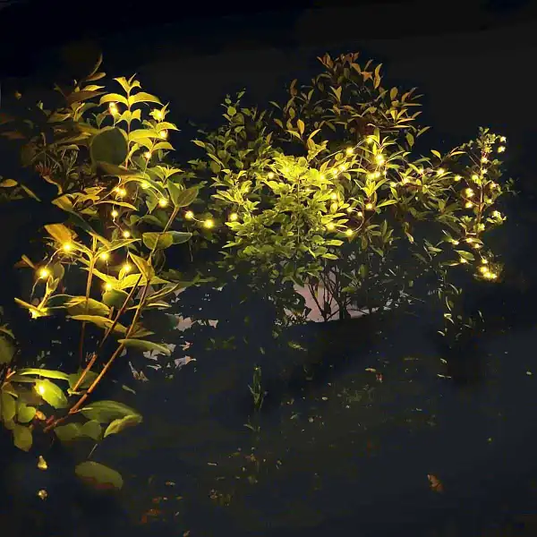 guirlande exterieur nuit  guirlande exterieur nuit