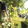 Guirlande lumineuse 10 ampoules - recharge solaire et USB - L. 4.5 m
