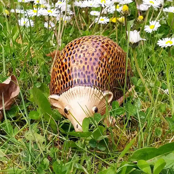 herisson ceramique deco jardin