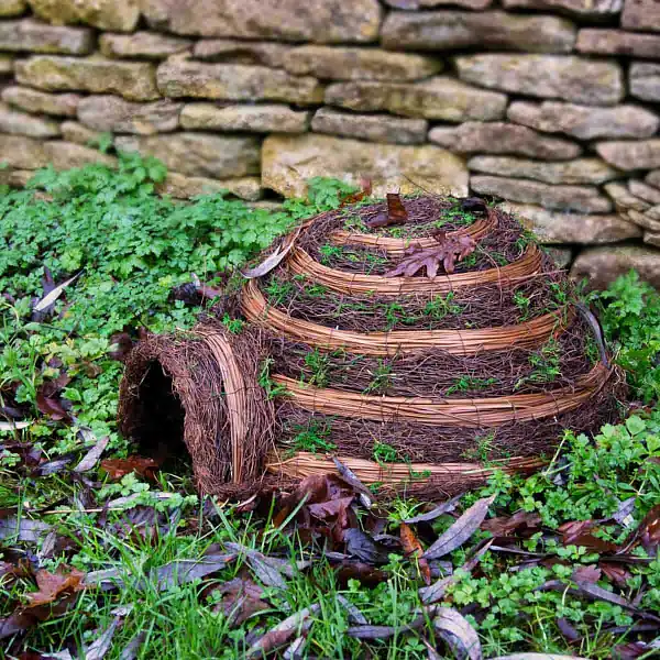 herisson igloo jardin