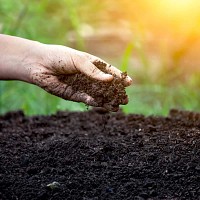 Activateur de compost naturel 1.5kg - Bactériolit