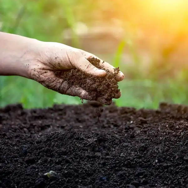 humus compost reussi  humus compost reussi