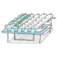 Formation en ligne - L'hydroponie chez soi