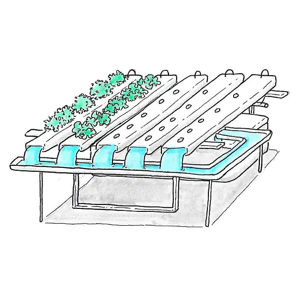 illustration systeme hydroponique