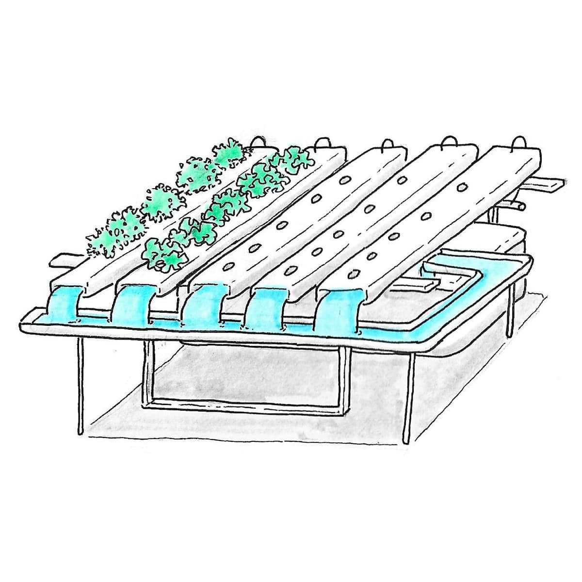 illustration systeme hydroponique