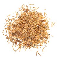 Nourriture hérisson 4 saisons - Insectes séchés 250g