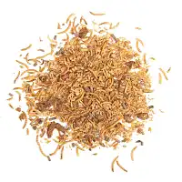 Nourriture hérisson 4 saisons - Insectes séchés 250g
