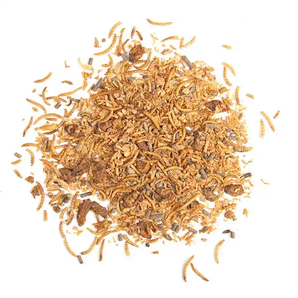 insecte nourriture herisson insecte nourriture herisson