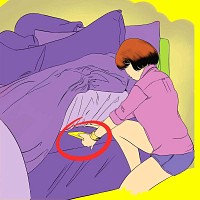 Traitement punaises de lit