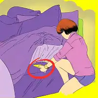 Traitement punaises de lit