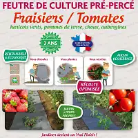 Feutre de paillage pour tomates et fraisiers pré percé 5m x 60cm  Feutre de paillage pour tomates et fraisiers pré percé 5m x 60cm