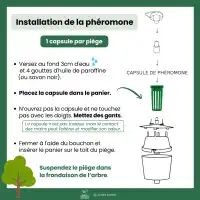Phéromone contre la zeuzère du poirier ou pommier - 2 capsules, 3 mois de protection