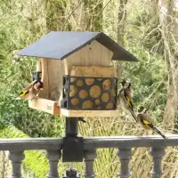 Poteau de balcon pour fixation mangeoire ou nichoir oiseaux - 6 positions possibles