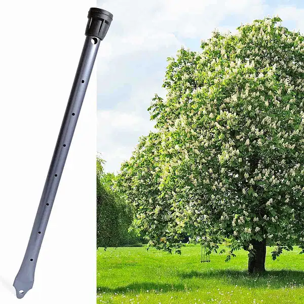 irrigation arbre tuyau