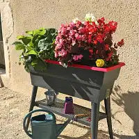 Potager sur pieds avec réserve d'eau 40L