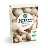 Boîte de champignons de Paris blancs BIO à faire pousser