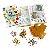 Coffret graines 12 fleurs à papillons
