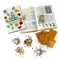 Coffret graines 12 fleurs à papillons