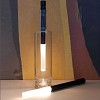 Lampe décorative pour bouteille - Lumière blanche chaude 3000K - Tube noir