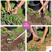 Je désherbe sans produits chimiques ! - Livre Terre Vivante